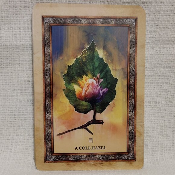 Celtic Tree Oracle - Picture 7 of 12